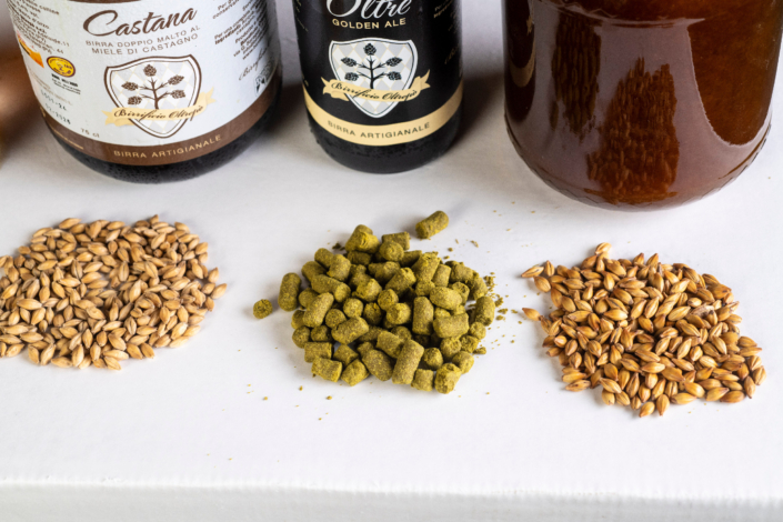 ingredienti selezionati per birra artigianale